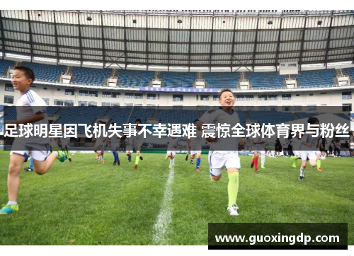 足球明星因飞机失事不幸遇难 震惊全球体育界与粉丝