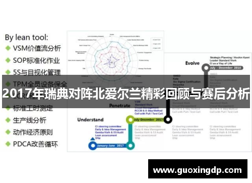 2017年瑞典对阵北爱尔兰精彩回顾与赛后分析