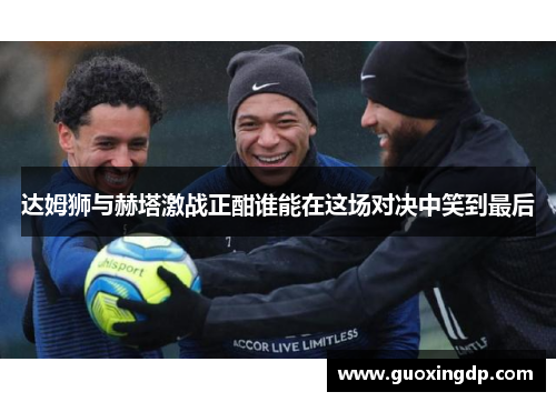 达姆狮与赫塔激战正酣谁能在这场对决中笑到最后